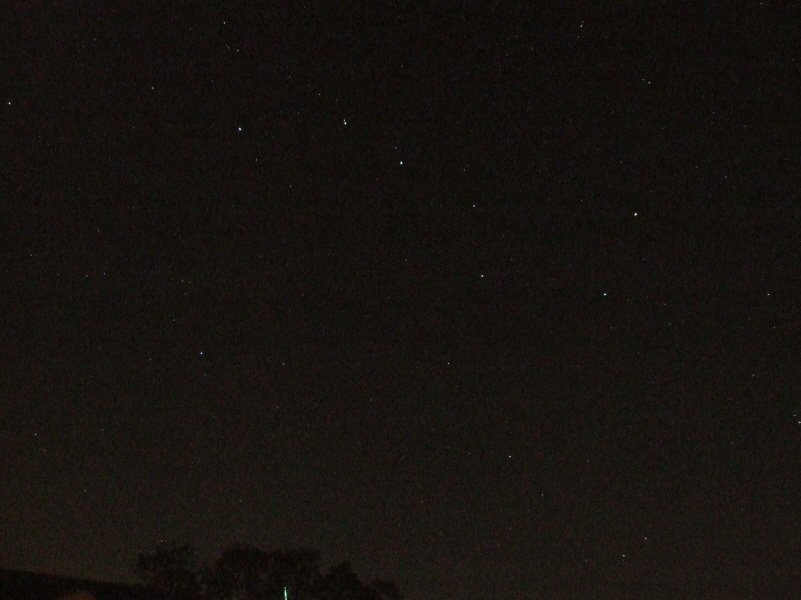 Perseid